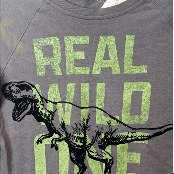 NWT-Peek Gray Dinosaur Graphic Kids Sweatshirt boys size 10 - Picture 2 of 4